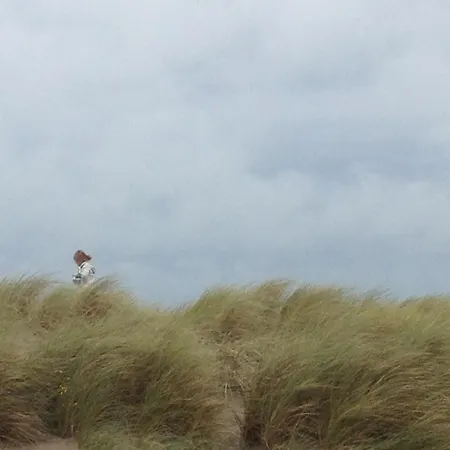 Nabij De Zee Lejlighed *