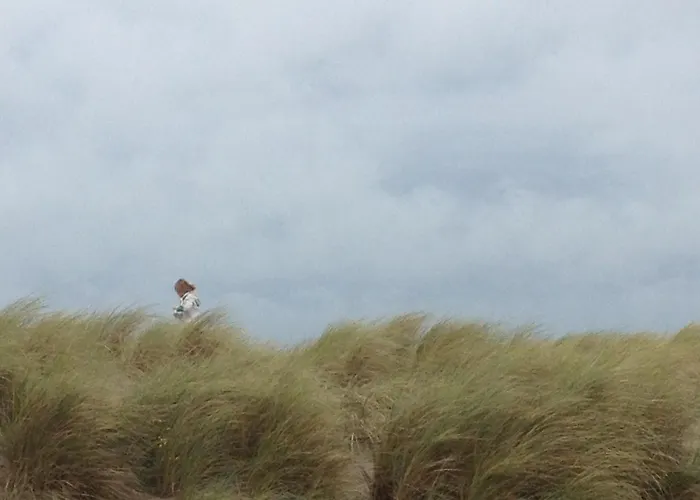 Nabij De Zee Lejlighed *